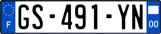 GS-491-YN