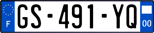 GS-491-YQ