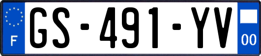 GS-491-YV