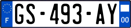 GS-493-AY