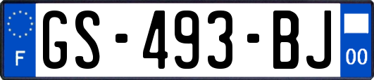 GS-493-BJ