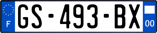 GS-493-BX