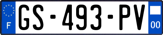 GS-493-PV