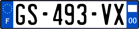 GS-493-VX
