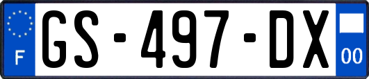 GS-497-DX