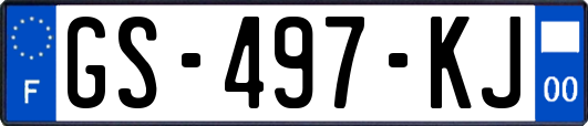 GS-497-KJ