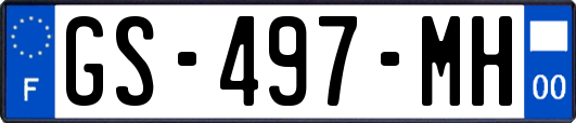 GS-497-MH