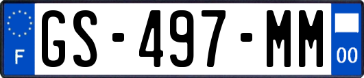 GS-497-MM