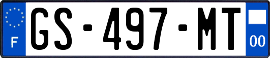 GS-497-MT