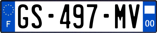 GS-497-MV