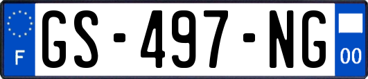 GS-497-NG