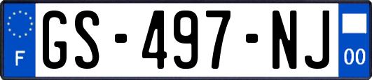 GS-497-NJ