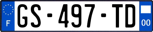 GS-497-TD