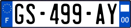 GS-499-AY