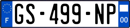 GS-499-NP
