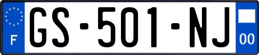 GS-501-NJ