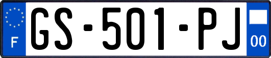 GS-501-PJ