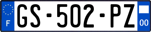 GS-502-PZ