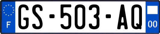 GS-503-AQ