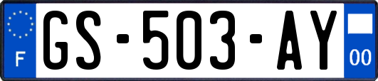 GS-503-AY