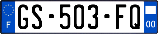 GS-503-FQ
