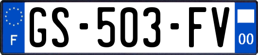 GS-503-FV