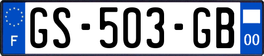 GS-503-GB