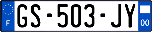 GS-503-JY