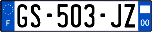 GS-503-JZ