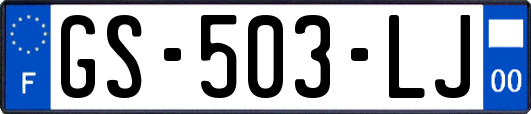 GS-503-LJ