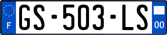 GS-503-LS