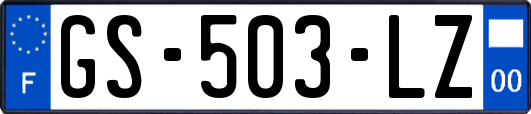 GS-503-LZ