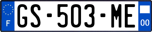 GS-503-ME