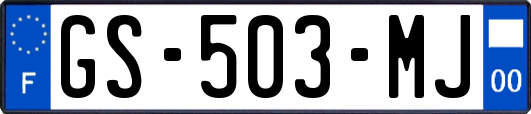 GS-503-MJ
