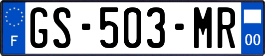 GS-503-MR