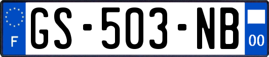 GS-503-NB