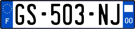 GS-503-NJ