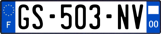 GS-503-NV