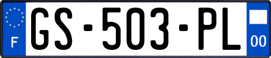 GS-503-PL