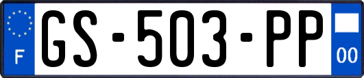 GS-503-PP