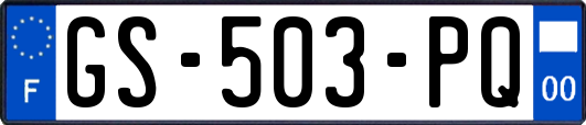 GS-503-PQ