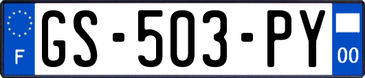 GS-503-PY