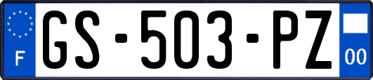 GS-503-PZ