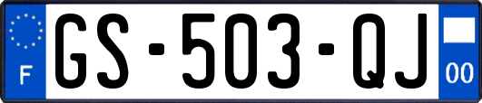 GS-503-QJ