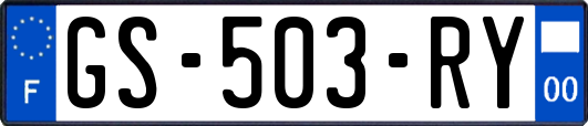GS-503-RY