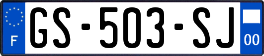 GS-503-SJ