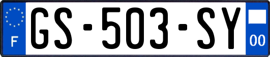 GS-503-SY