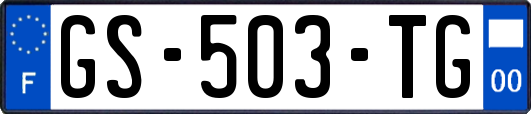 GS-503-TG