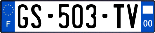 GS-503-TV