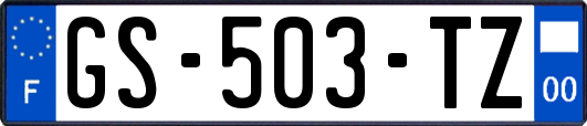 GS-503-TZ